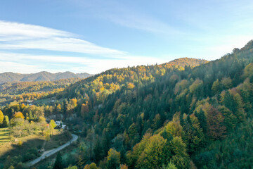 Wall Mural - Aerial view of beautiful mountain forest with road on autumn day