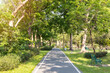Scenic view of the park with sidewalk in the morning. Green trees in beautiful park