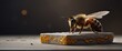Bee on Table Stone podium for display product. Background for cosmetic product branding, identity and packaging inspiration, rear view