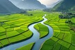 Aerial view of vibrant green farmland along river   digital illustration with matte painting