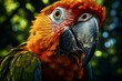 A colorful parrot up close with a tree in the background