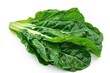 Fresh Green Chard - Isolated on White Background. Delicious Leafy Vegetable for Salads, Spinach and Cabbage Lovers
