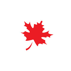 Wall Mural - Maple leaf nature logo design