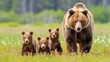 Mother Grizzly Bear and Playful Cubs Exploring Serene Meadow Wildlife Nature