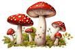 PNG Mushroom fungus agaric plant transparent background