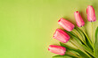 Spring time concept. Top view photo of fresh pink tulip flowers on light green background with copy space