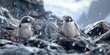 Captivating wildlife shot of two chinstrap penguins on a rocky, snowy habitat where the delicate snowfall adds a serene touch to the scene