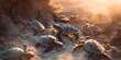 Inspirational image of baby sea turtles journeying across the beach sand towards the ocean at sunrise