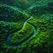 © Mini - Aerial view of a winding river through a dense, vibrant green forest , high-resolution