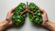 Human hands holding plant lungs of Earth, ecological concept