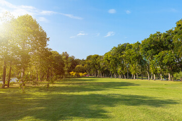 Scenic view of the park with green grass field in city and a cloudy blue sky background. Beautiful green park in the morning