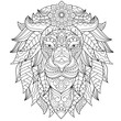 Vector illustration, lion head with abstract patterns