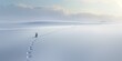 A single rabbit leaves a trail of footprints across a pristine snowy landscape under a soft sky
