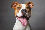 Fototapeta  - A dog with a tongue sticking out and a big smile on its face. The dog is brown and has a happy expression