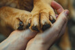 © lashkhidzetim - A hand holding a dog's paw. The dog is brown and has black nails