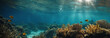 Underwater Scene - Tropical Seabed With Reef And Sunshine Volumetric lighting. Dramatic scene.