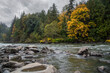 Beautiful river with rocks, boulders and lush forest under overcast sky.