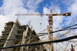shallow depth of field view of a makeshift fence made of branches in front of a construction site