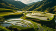 rice terraces in japan plantation
