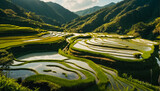 Fototapeta Natura - rice terraces in japan plantation