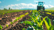 © Anna - Tractor cultivating fertile farmland with young corn plants under sunny sky.