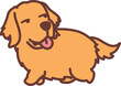 Funny golden retriever dog walking and looking back cartoon, vector illustration