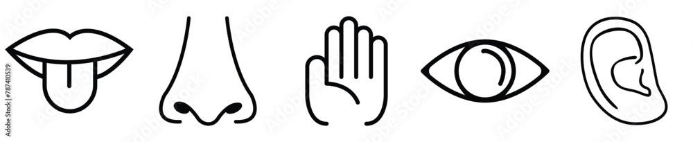 Sense Check Icon Human sense icons. Five human senses icons. Vision smell hearing touch ...