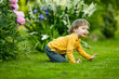 © MNStudio - Adorable little boy having fun outdoors on sunny summer day. Kid running outdoors. Child exploring nature. Summer activities for kids.