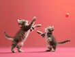 Energetic Feline Frivolity Playful Kittens Swatting and Batting at Toys in Whimsical Motion