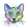 Cat portrait watercolor colorful drawing. Vector sketch illustration of cute kitten head. Fashion print or poster design