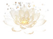 PNG  Lotus flower petal inflorescence