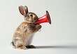 A cute Easter bunny standing on its hind legs and shouting into the megaphone