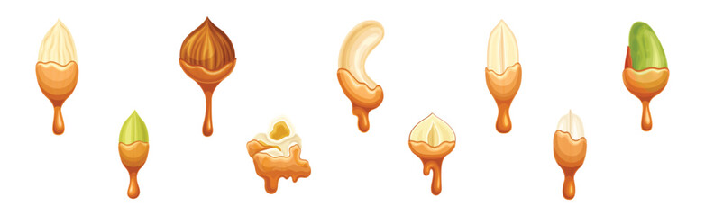 Poster - Nut Edible Seed with Dripping Chocolate or Caramel Melting Liquid Vector Set