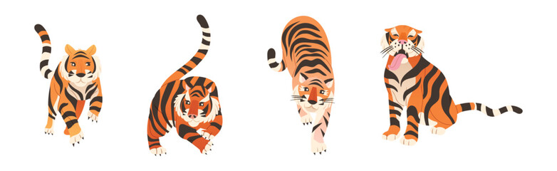 Wall Mural - tiger predator jungle animal with striped coat vector set