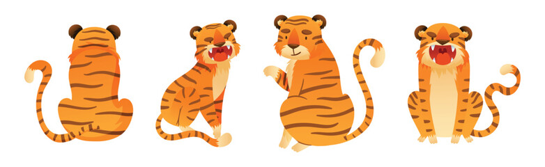 Wall Mural - funny tiger predator jungle animal with striped coat vector set