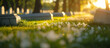 White grave markers at a national cemetery during dawn, creating a serene and respectful environment for remembrance with soft lighting. Memorial Day, Independence Day , with copy sp