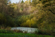 autumn colors in a forest with little pond 