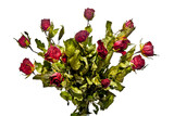 Fototapeta Tulipany - Dried bouquet of red roses isolated