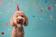 Dog Wearing Party Hat With Confetti