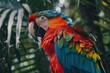 Colorful Parrot Perched on Tree Branch