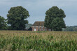 old farm house in a corn field behind trees