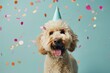 Playful Dog Wearing Party Hat With Confetti