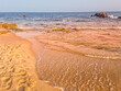 Landscape in a beach in Hammamet, Tunisia