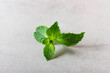 Mint leaves with copy space on the grey background.