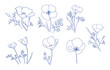 silhouettes of poppies flowers. Eschscholzia plant - vector set of design elements