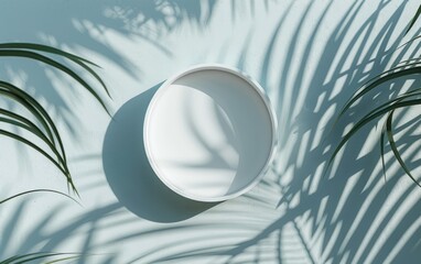 Wall Mural - 3D render top view of blank empty round podium with decor fern plants, beautiful morning sunlight with foliages leaves shadow on white table for beauty products display templates. Backdrop, Mock up