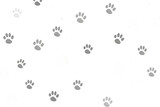 PNG Cat paw prints backgrounds black monochrome. 