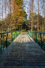 Poster - Small stone path in a nice city park