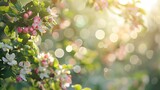 Fototapeta  - Beautiful an apple garden with trees blossoming in sunny day blur bokeh background. AI generated