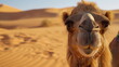 A camel stands in the sandy desert, its face filling the frame against the soft glow of the setting sun, with dunes stretching into the distance - Generative AI
